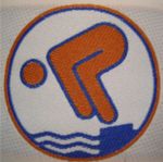 Schwimmen Logo Schwimmabzeichen Bronze