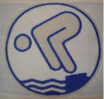 Logo Schwimmabzeichen Silber